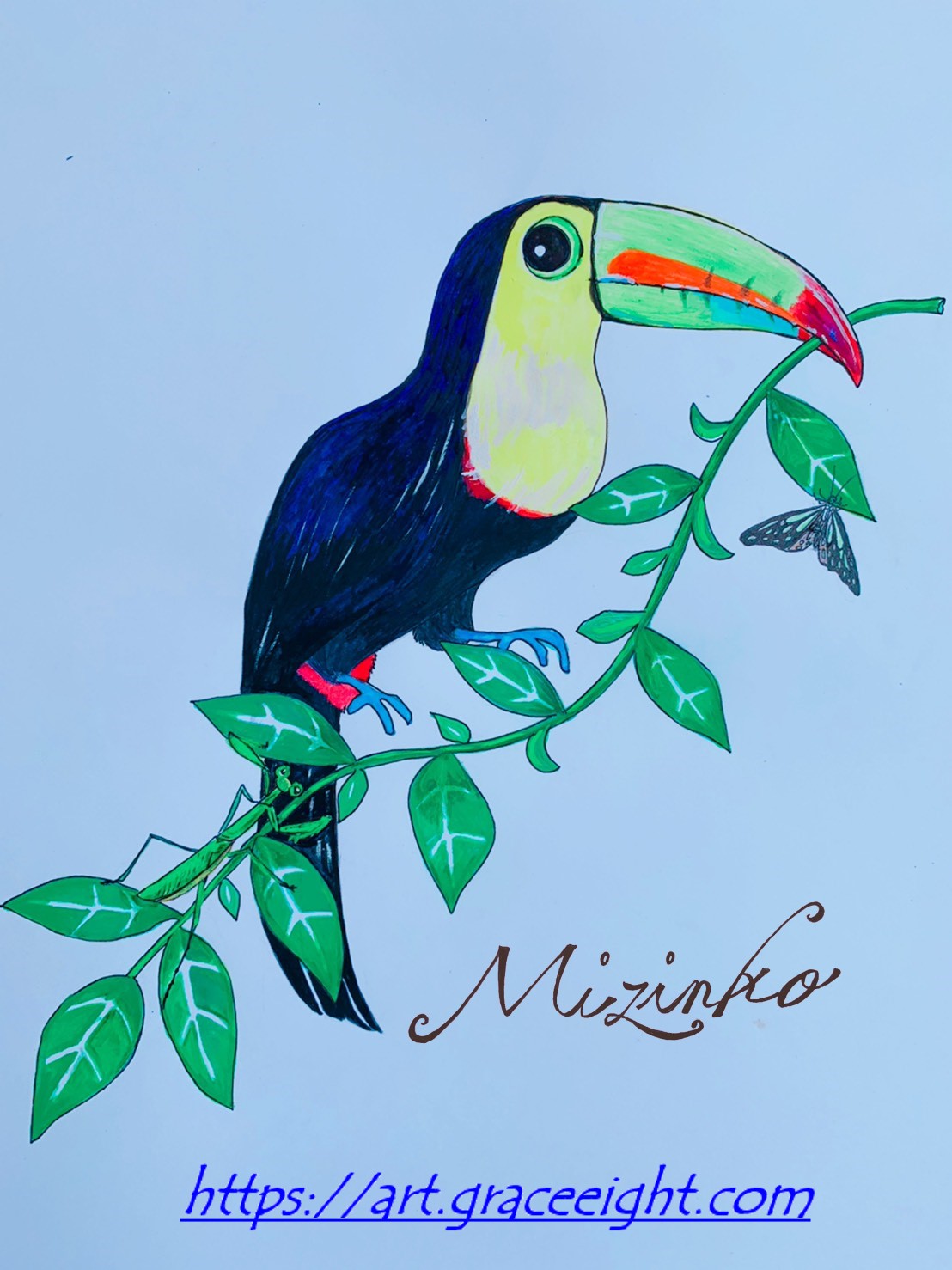 オオハシ（南米のカラフルな鳥）Miジンコ